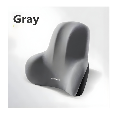 BackCare Lumbar Cushion