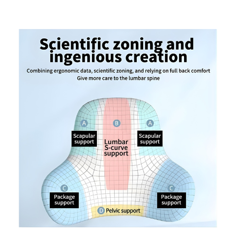 BackCare Lumbar Cushion