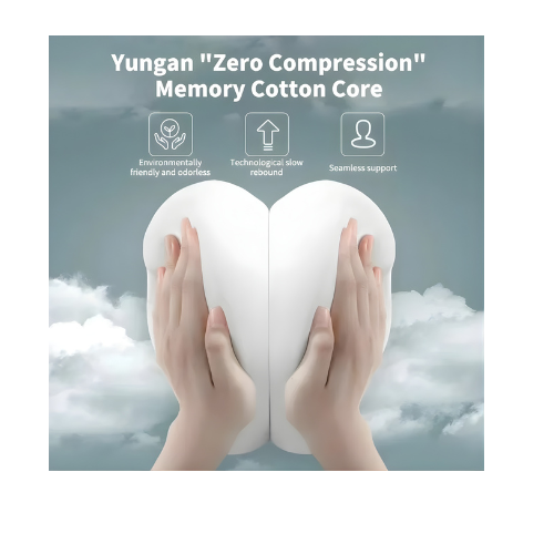 BackCare Lumbar Cushion